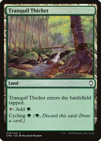Tranquil Thicket [Commander Anthology Volume II] MTG Single Magic: The Gathering  | Multizone: Comics And Games