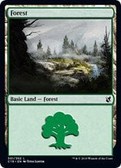 Forest (301) [Commander 2019] MTG Single Magic: The Gathering  | Multizone: Comics And Games