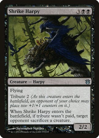 Shrike Harpy [Born of the Gods] MTG Single Magic: The Gathering  | Multizone: Comics And Games