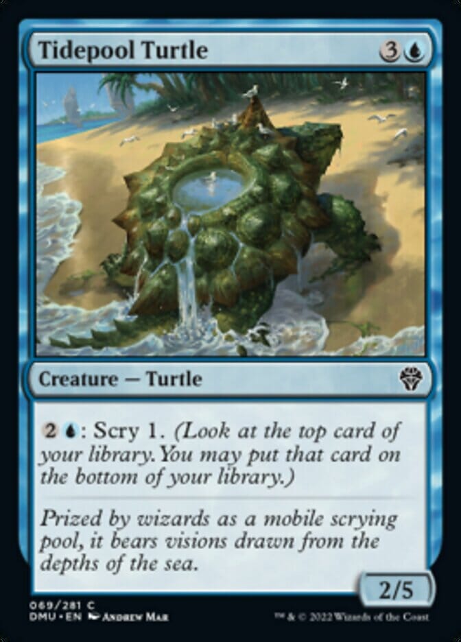 Tidepool Turtle [Dominaria United] MTG Single Magic: The Gathering  | Multizone: Comics And Games