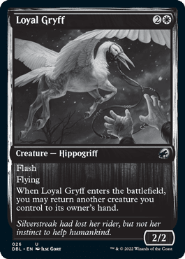 Loyal Gryff [Innistrad: Double Feature] MTG Single Magic: The Gathering  | Multizone: Comics And Games