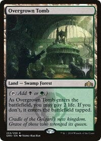 Overgrown Tomb [Promo Pack: Throne of Eldraine] MTG Single Magic: The Gathering  | Multizone: Comics And Games