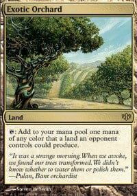 Exotic Orchard [Conflux] MTG Single Magic: The Gathering  | Multizone: Comics And Games