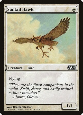 Suntail Hawk [Magic 2014] MTG Single Magic: The Gathering  | Multizone: Comics And Games