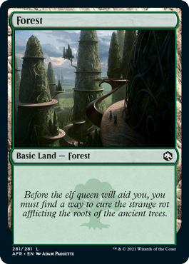 Forest (281) [Dungeons & Dragons: Adventures in the Forgotten Realms] MTG Single Magic: The Gathering  | Multizone: Comics And Games