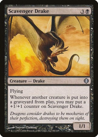 Scavenger Drake [Shards of Alara] MTG Single Magic: The Gathering  | Multizone: Comics And Games