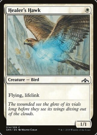 Healer's Hawk [Guilds of Ravnica] MTG Single Magic: The Gathering  | Multizone: Comics And Games