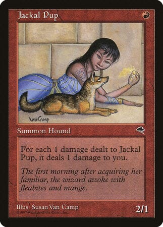 Jackal Pup [Tempest] MTG Single Magic: The Gathering  | Multizone: Comics And Games