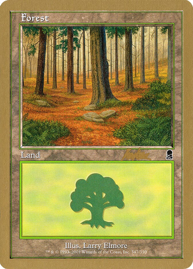 Forest (bk347) (Brian Kibler) [World Championship Decks 2002] MTG Single Magic: The Gathering  | Multizone: Comics And Games