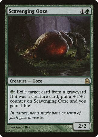 Scavenging Ooze [Commander 2011] MTG Single Magic: The Gathering  | Multizone: Comics And Games