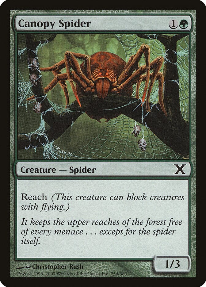 Canopy Spider [Tenth Edition] MTG Single Magic: The Gathering  | Multizone: Comics And Games