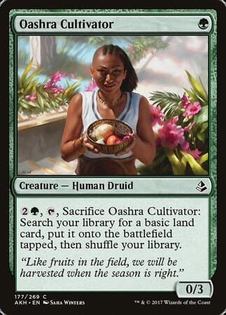 Oashra Cultivator [Amonkhet] MTG Single Magic: The Gathering  | Multizone: Comics And Games