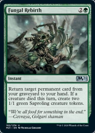 Fungal Rebirth [Core Set 2021] MTG Single Magic: The Gathering  | Multizone: Comics And Games
