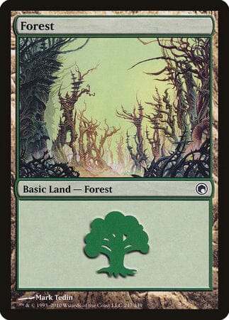 Forest (247) [Scars of Mirrodin] MTG Single Magic: The Gathering  | Multizone: Comics And Games