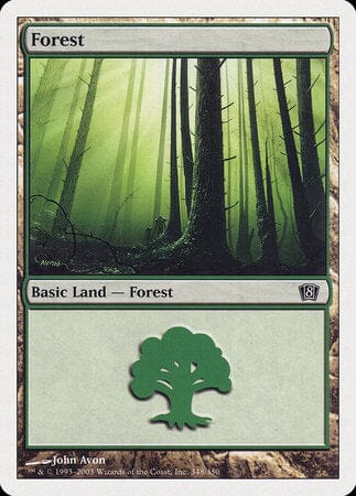Forest (348) [Eighth Edition] MTG Single Magic: The Gathering  | Multizone: Comics And Games