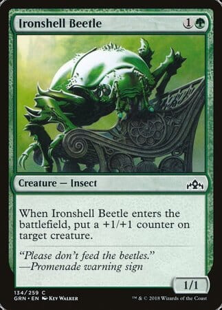 Ironshell Beetle [Guilds of Ravnica] MTG Single Magic: The Gathering  | Multizone: Comics And Games