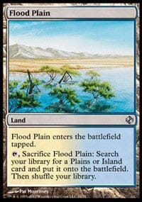Flood Plain [Duel Decks: Venser vs. Koth] MTG Single Magic: The Gathering  | Multizone: Comics And Games