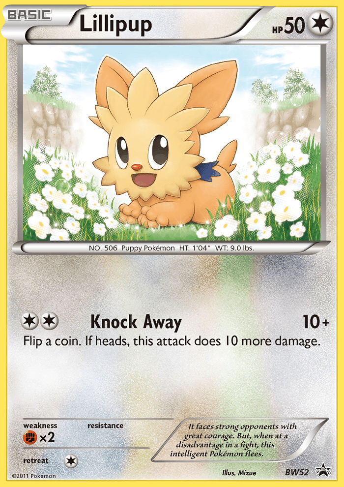 Lillipup (BW52) [Black & White: Black Star Promos] Pokemon Single Pokémon  | Multizone: Comics And Games