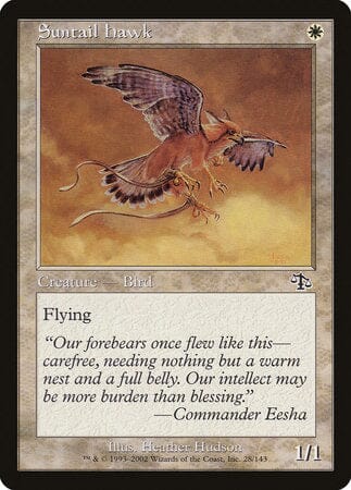 Suntail Hawk [Judgment] MTG Single Magic: The Gathering  | Multizone: Comics And Games