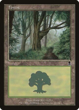 Forest (350) [Odyssey] MTG Single Magic: The Gathering  | Multizone: Comics And Games