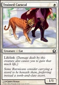 Trained Caracal [Return to Ravnica] MTG Single Magic: The Gathering  | Multizone: Comics And Games