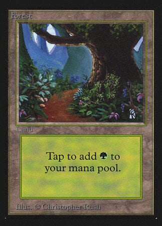 Forest (B) (CE) [Collectors’ Edition] MTG Single Magic: The Gathering  | Multizone: Comics And Games