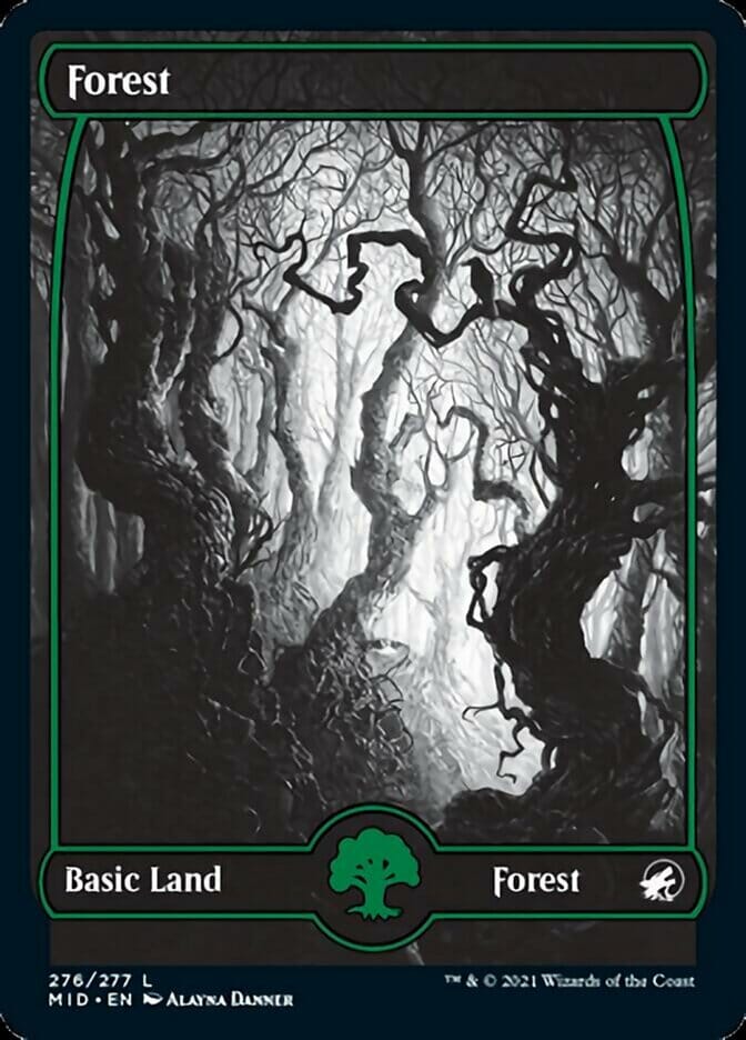 Forest (276) [Innistrad: Midnight Hunt] MTG Single Magic: The Gathering  | Multizone: Comics And Games