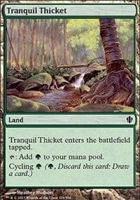 Tranquil Thicket [Commander 2013] MTG Single Magic: The Gathering  | Multizone: Comics And Games
