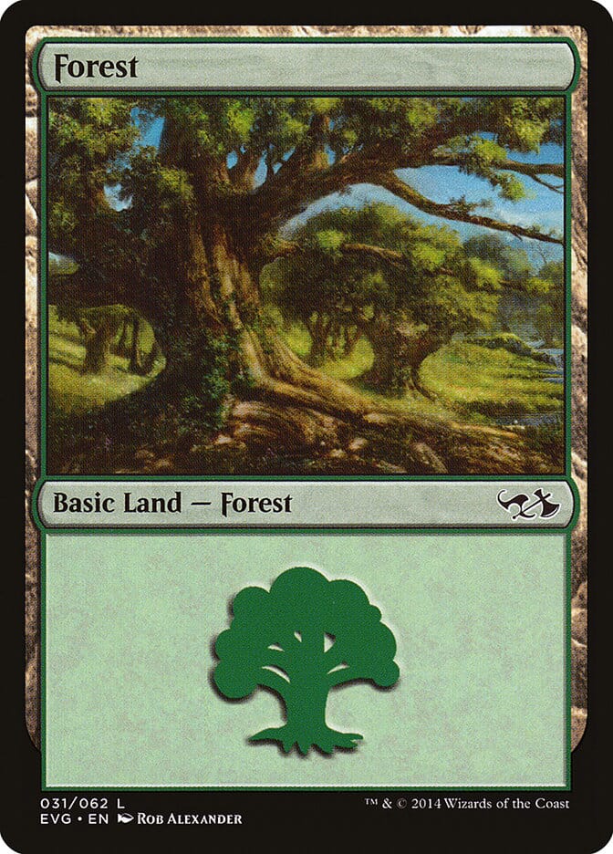 Forest (31) (Elves vs. Goblins) [Duel Decks Anthology] MTG Single Magic: The Gathering  | Multizone: Comics And Games