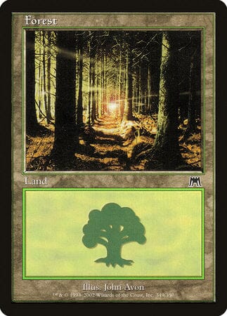 Forest (349) [Onslaught] MTG Single Magic: The Gathering  | Multizone: Comics And Games