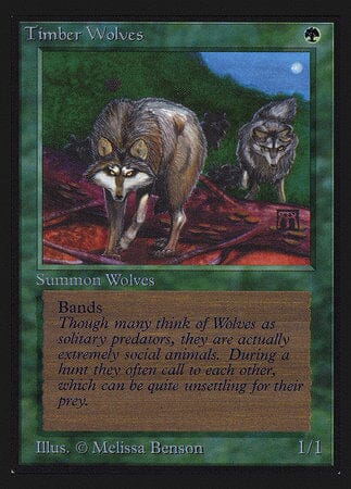 Timber Wolves (IE) [Intl. Collectors’ Edition] MTG Single Magic: The Gathering  | Multizone: Comics And Games
