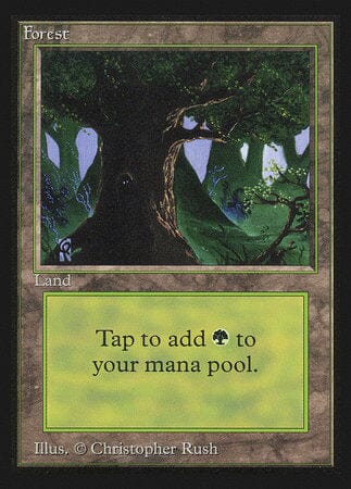 Forest (Eyes)(IE) [Intl. Collectors’ Edition] MTG Single Magic: The Gathering  | Multizone: Comics And Games