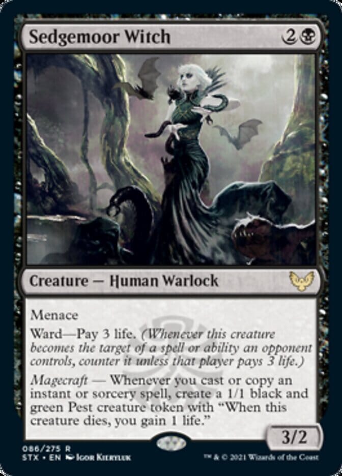 Sedgemoor Witch [Strixhaven: School of Mages] MTG Single Magic: The Gathering  | Multizone: Comics And Games