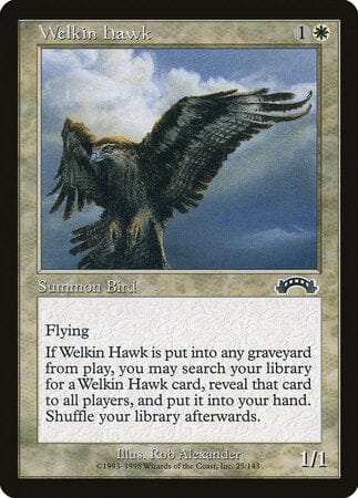 Welkin Hawk [Exodus] MTG Single Magic: The Gathering  | Multizone: Comics And Games