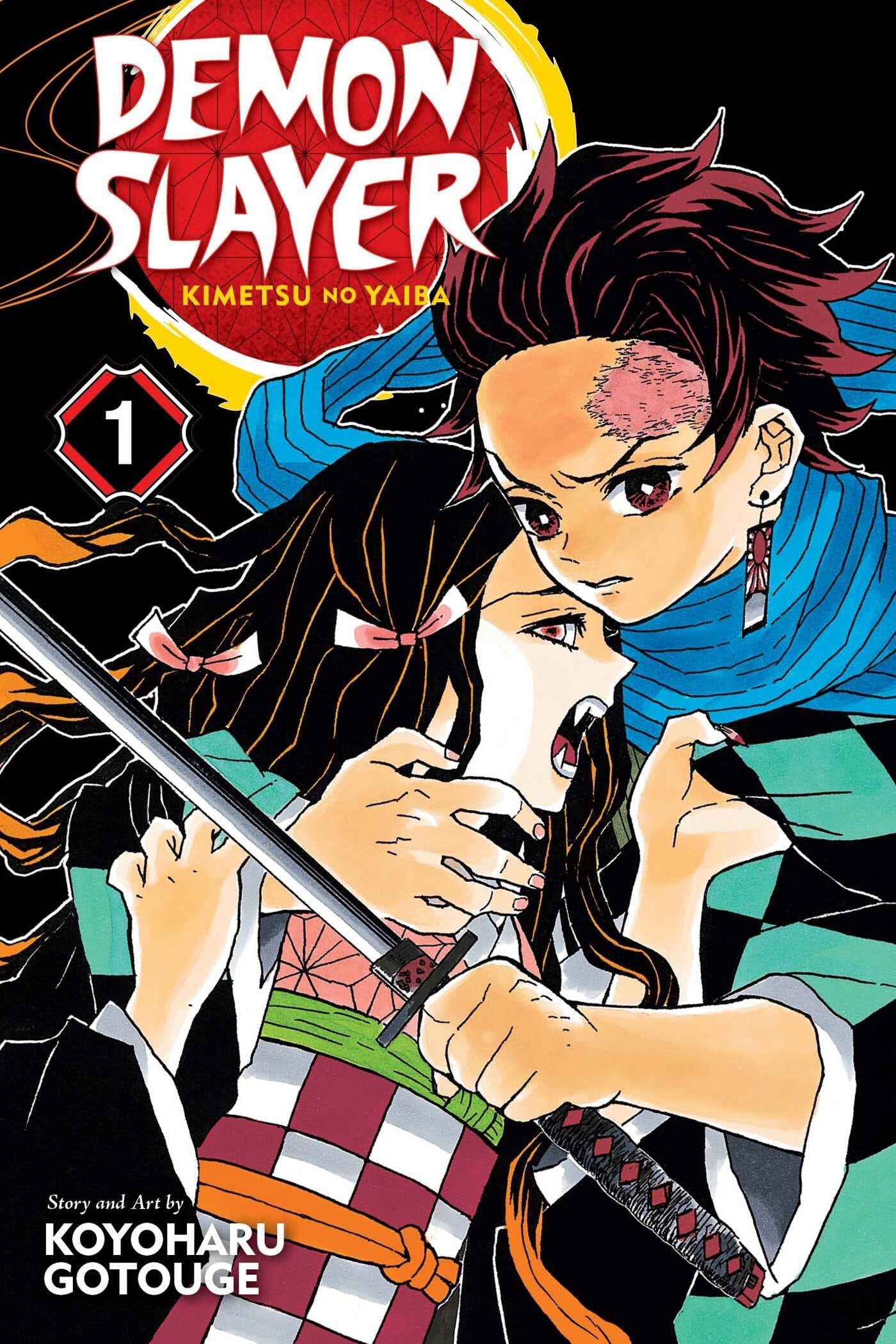Demon slayer vol.1 Manga Viz media  | Multizone: Comics And Games