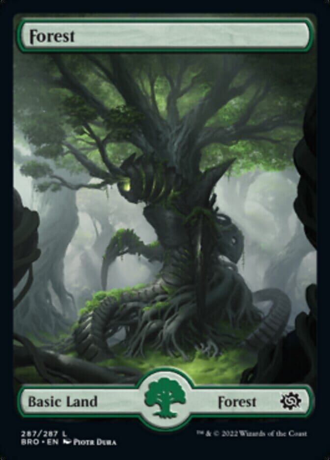 Forest (287) [The Brothers' War] MTG Single Magic: The Gathering  | Multizone: Comics And Games