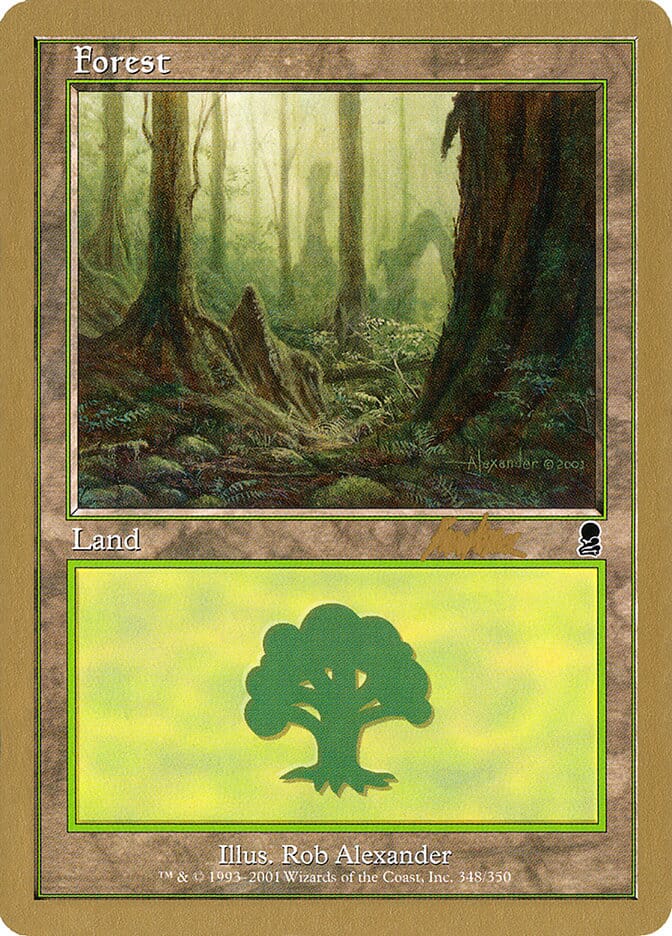 Forest (bk348) (Brian Kibler) [World Championship Decks 2002] MTG Single Magic: The Gathering  | Multizone: Comics And Games