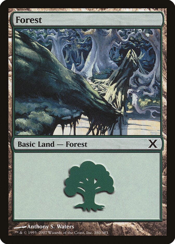 Forest (380) [Tenth Edition] MTG Single Magic: The Gathering  | Multizone: Comics And Games