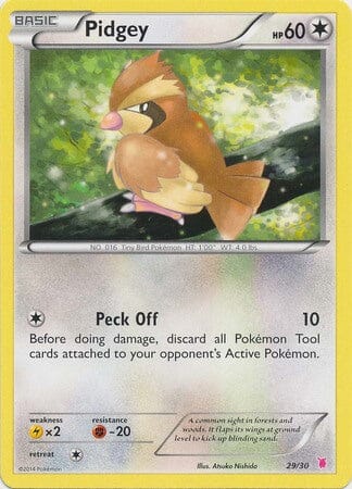 Pidgey (29/30) [XY: Trainer Kit 1 - Wigglytuff] Pokemon Single Pokémon  | Multizone: Comics And Games