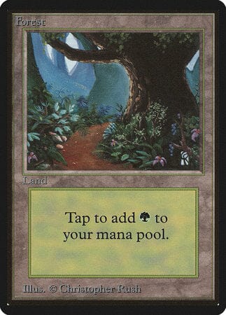 Forest (B) [Limited Edition Beta] MTG Single Magic: The Gathering  | Multizone: Comics And Games