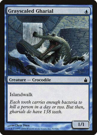 Grayscaled Gharial [Ravnica: City of Guilds] MTG Single Magic: The Gathering  | Multizone: Comics And Games