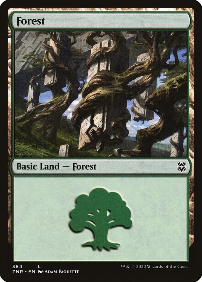 Forest (384) [Zendikar Rising] MTG Single Magic: The Gathering  | Multizone: Comics And Games