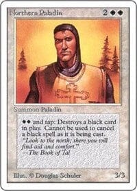 Northern Paladin [Unlimited Edition] MTG Single Magic: The Gathering  | Multizone: Comics And Games