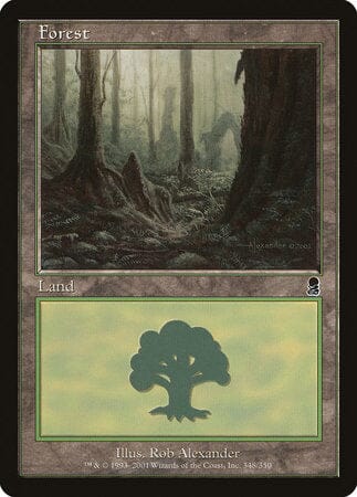 Forest (348) [Odyssey] MTG Single Magic: The Gathering  | Multizone: Comics And Games