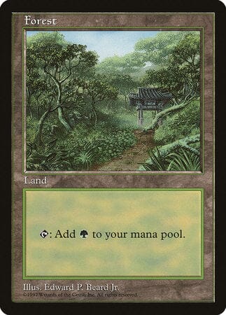 Forest - Clear Pack (Beard, Jr.) [Asia Pacific Land Program] MTG Single Magic: The Gathering  | Multizone: Comics And Games