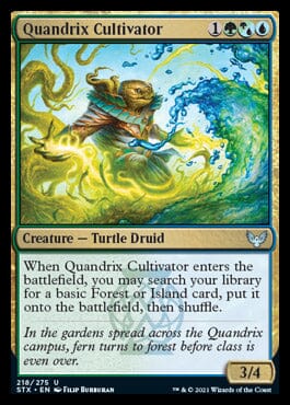 Quandrix Cultivator [Strixhaven: School of Mages] MTG Single Magic: The Gathering  | Multizone: Comics And Games