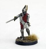Haradelan: Questing Knight of Tahnar Miniatures DGS  | Multizone: Comics And Games