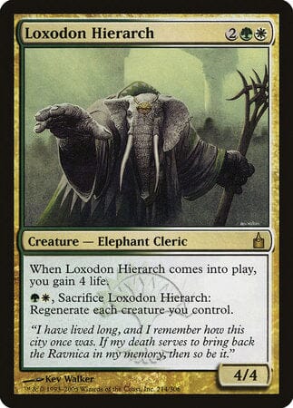 Loxodon Hierarch [Ravnica: City of Guilds] MTG Single Magic: The Gathering  | Multizone: Comics And Games