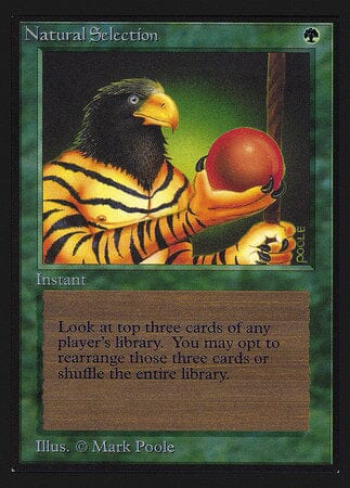 Natural Selection (IE) [Intl. Collectors’ Edition] MTG Single Magic: The Gathering  | Multizone: Comics And Games