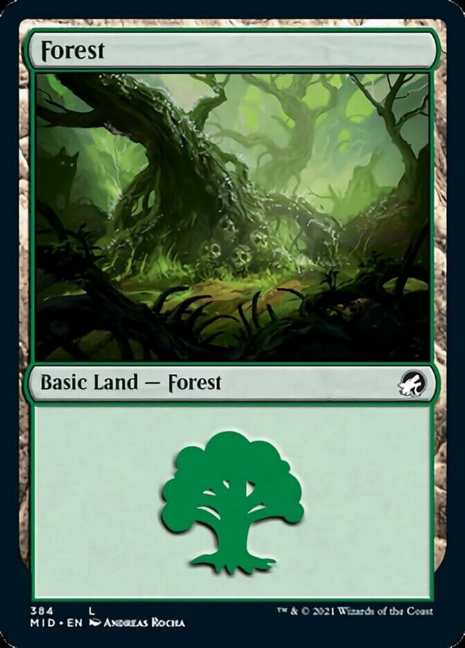 Forest (384) [Innistrad: Midnight Hunt] MTG Single Magic: The Gathering  | Multizone: Comics And Games